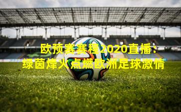 欧预赛赛程2020直播：绿茵烽火点燃欧洲足球激情