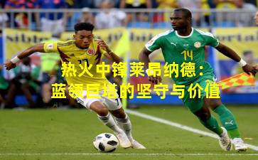 热火中锋莱昂纳德：蓝领巨塔的坚守与价值