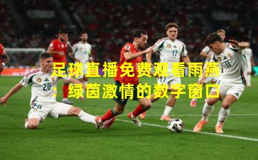 足球直播免费观看雨燕：绿茵激情的数字窗口