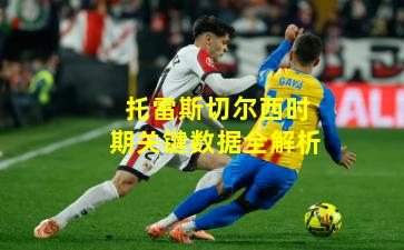 托雷斯切尔西时期关键数据全解析