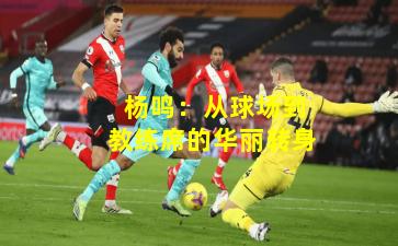  杨鸣：从球场到教练席的华丽转身