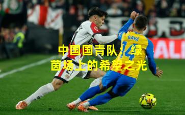 中国国青队：绿茵场上的希望之光
